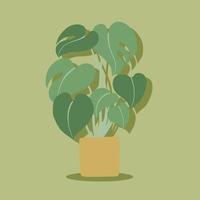 simplicidade monstera planta desenho à mão livre design plano. vetor