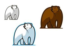 urso polar e marrom vetor