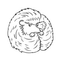 ilustração monocromática, ouriço bonitinho enrolado em uma bola, vetor em estilo cartoon em um fundo branco