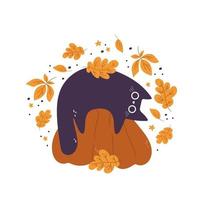 cartão de gatos e abóboras com personagens de desenhos animados doodle com folhas e flores. composição vetorial isolada para outono outono, colheita agrícola, projetos de ação de graças ou halloween vetor