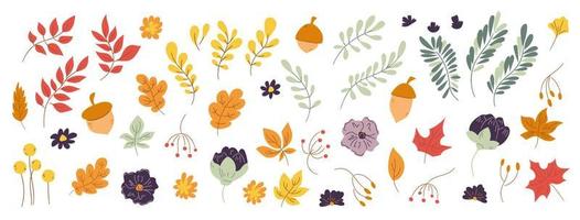ig doodle conjunto de elementos de design floral outono mão desenhada. folhas de elementos de outono, flores em fundo branco para outono outono, colheita agrícola, projetos de ação de graças ou halloween vetor