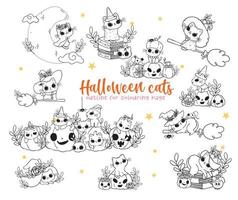 conjunto de fantasia de gato mágico de halloween bonito conjunto de doodle de contorno dos desenhos animados vetor para livro de colorir