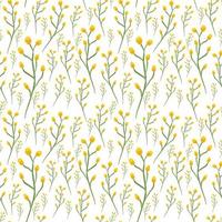 padrão sem costura desenhado à mão em aquarela com flores tenras da primavera - mimosa amarela no fundo branco vetor