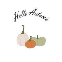 abóboras, halloween, cabaças de colheita de outono. coleção de abóboras de ação de graças de outono e halloween vetor