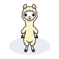 bonito desenho de alpaca em pé vetor