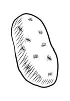 ilustração em vetor preto de batatas isoladas em um fundo branco