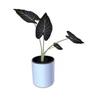 planta em uma panela - alocasia real protege planta tropical interna, orelha de elefante, trevo vetor