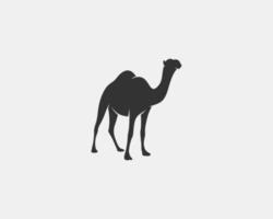 silhueta de vetor de camelo