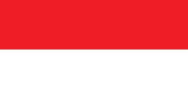 bandeira da indonésia com design original de ilustração vetorial de cor rgb vetor