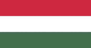 bandeira da Hungria com design original de ilustração vetorial de cor rgb vetor