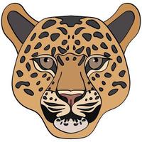 ilustração de cabeça de leopardo, mascote esportivo ou logotipo da equipe em estilo simples. imagem dos desenhos animados em gráficos vetoriais. vetor