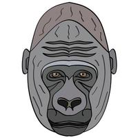 ilustração de cabeça de gorila, logotipo de estilo simples. gráficos de vetor de imagem dos desenhos animados.