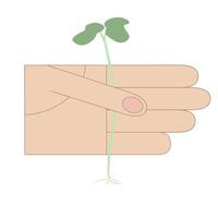 Plante uma árvore. cartão do dia da terra. ir verde. mão segurando a ilustração vetorial de planta. vetor