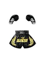 luvas de boxe e shorts boxer tailandês vetor