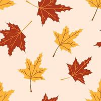 padrão de outono sem costura de vetor com folhas de plátano. cair folha de bordo amarelo. folhagem dourada e vermelha. bordo de outono.