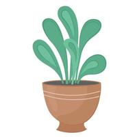 ilustração vetorial de planta verde em casa em vaso em fundo branco isolado vetor