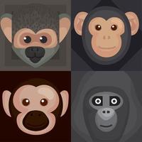 quatro macacos animais selvagens vetor