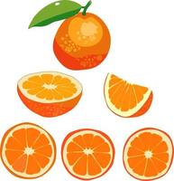 ilustração de frutas para pôster decorativo, produto natural de emblema, mercado de agricultores. vetor