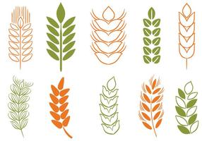 Free Wheat Stalk 2 Vectors