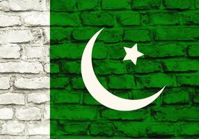 Bandeira livre do Paquistão do vetor pintada na parede de tijolos