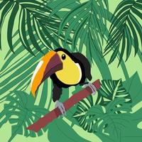 pássaro tucano em um galho na floresta tropical com monstera vetor