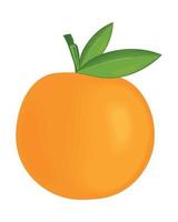fruta laranja realista vetor
