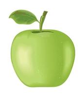 fruta de maçã verde realista vetor