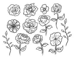 vetor de design de ativos de flores desenhadas à mão