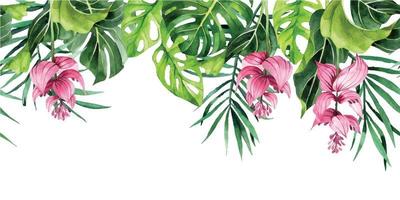desenho em aquarela. borda horizontal com folhas e flores tropicais. banner com folhas de palmeira verdes, monstera vetor