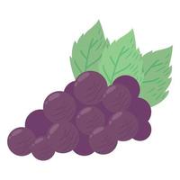 uvas frescas frutas saudáveis vetor