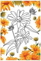 flor de camomila amarela, gerbera estilo doodle, livro para colorir de flores, página para colorir vetor