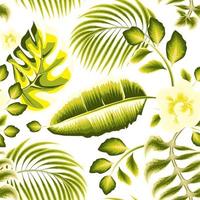 monocromática tropical banana monstera verde deixa padrão sem emenda com folhagem de plantas de ramo de coco elegância e flores abstratas sobre fundo branco. textura de impressão elegante. verão. outono vetor