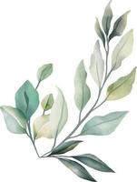 folhas, flores em aquarela para decoração. cor verde limão e cinza. vetor