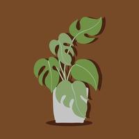 simplicidade monstera planta desenho à mão livre design plano. vetor