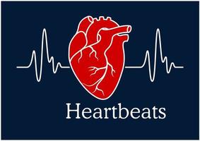 coração humano com cardiograma de batimentos cardíacos brancos vetor