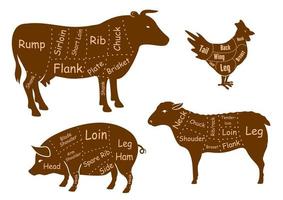 cortes de carne bovina, suína, frango e cordeiro vetor