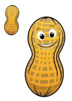 desenho animado amendoim com casca vetor
