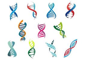 moléculas de DNA e símbolos vetor