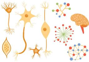 Vetores de neurônio grátis