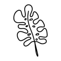 vector monstera flor folha, folha de bananeira isolada no fundo branco. coloração de folhas tropicais. ilustração engraçada e fofa para design sazonal, têxtil, decoração infantil ou cartão de felicitações.