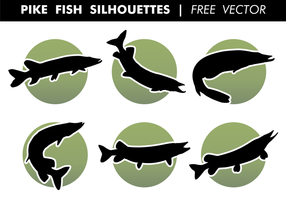 Pike Fish Silhouettes Free Vector