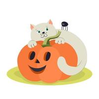 gatinho engraçado e abóbora jack-o-lanterna. mão desenhada ilustração vetorial. ótimo para criar cartazes de halloween, cartões de felicitações vetor