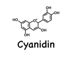 cianidina é um composto orgânico natural, um tipo especial de antocianidina. estrutura química da antocianina c15h11o6. vetor