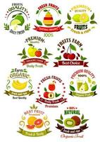 ícones retrô de frutas frescas para design de agricultura vetor