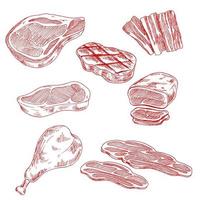 bacon, carne bovina, suína e de frango vetor