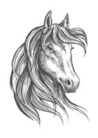 cavalo árabe com topete longo, estilo de desenho vetor