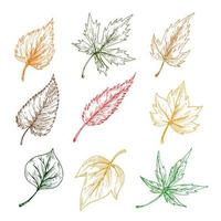 folhas de ícones de esboço de árvores vetor