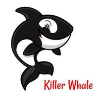 orca ou orca preto e branco dos desenhos animados vetor