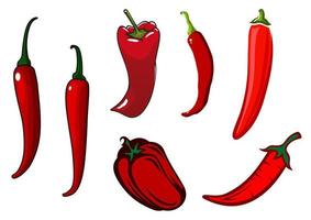 red hot chilli, pimenta caiena e pimentão vetor