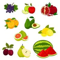 conjunto de ícones de vetor isolado de frutas frescas.